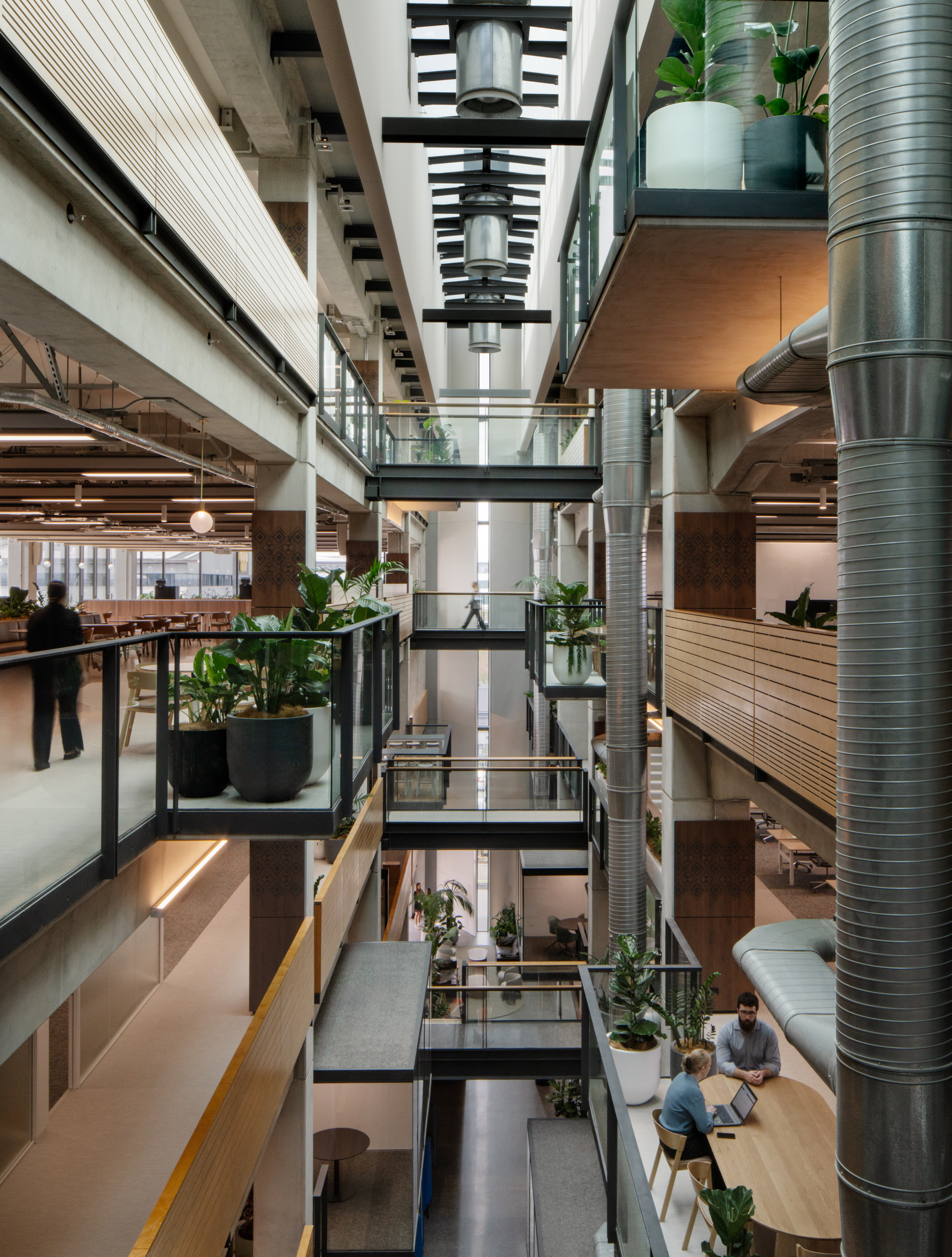 AIA Takapuna